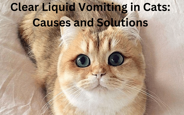 Clear Liquid Vomiting in Cats: Causes and Solutions